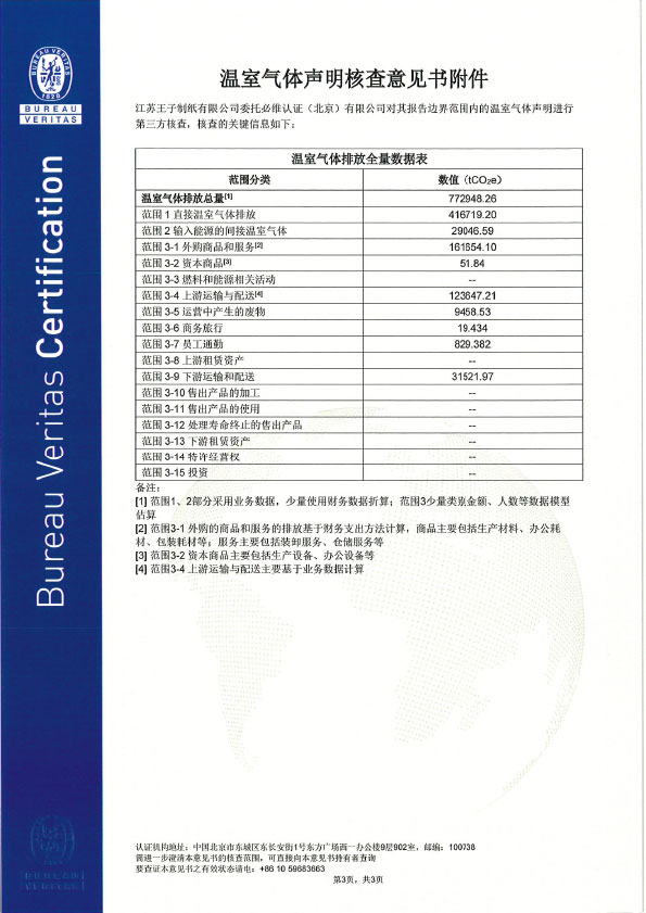 33123912江苏王子制纸有限公司EMI33123912-3.jpg